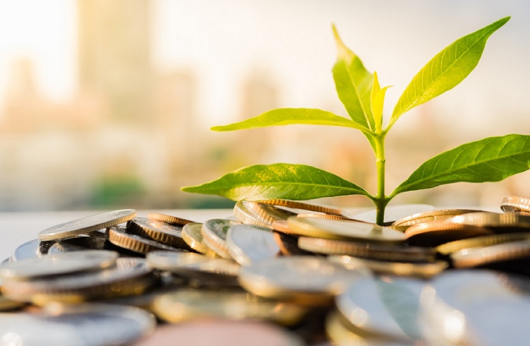 Financing Green Initiatives: The Path to Sustainable Loans.